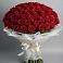 Букет 101 Красная роза Блэк Мэджик в Началово