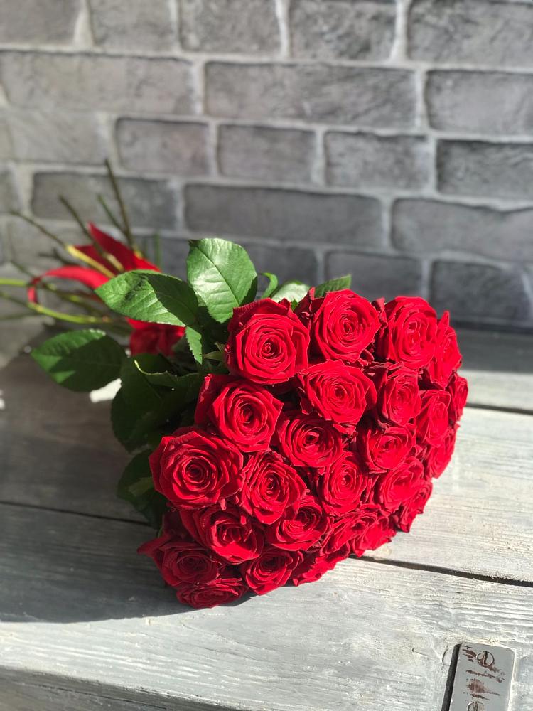 Букет Красные розы Фридом в Началово