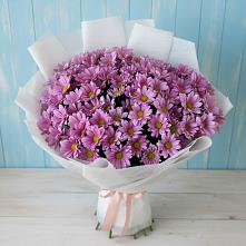 Букет цветов из:  Хризантемы в Началово