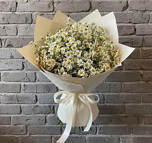 Букет цветов из:  Ромашки в Началово