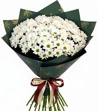 Букет цветов из:  Хризантемы #REPLACE_PRED# Началово