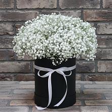 Цветочная композиция из Гипсофила в шляпной коробке в Началово
