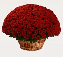 Премиум букет из: Розы в Началово